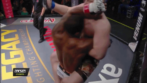 매미권을 함부로 따라하면 안되는 이유 | 인스티즈