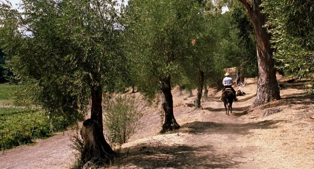 [페어런트트랩] 한참 어린 여자랑 결혼하려는 아빠에게 팩트폭력 시전하는 딸.jpg | 인스티즈