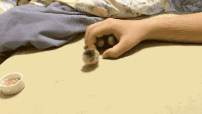 따뜻한 품 속으로.gif | 인스티즈