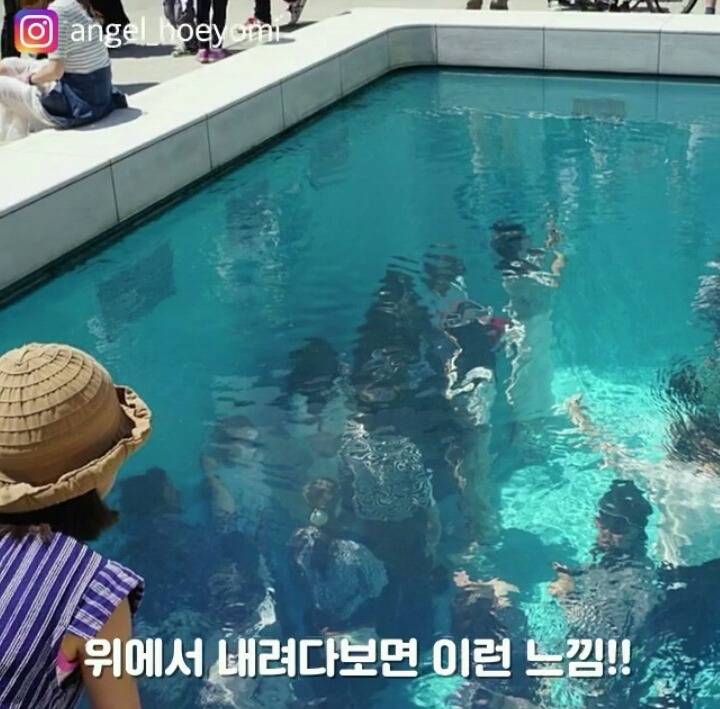 신기한 수영장.jpg | 인스티즈
