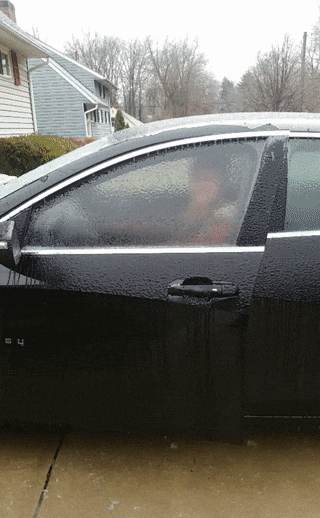 캐나다에서 유행하는 놀이.gif | 인스티즈