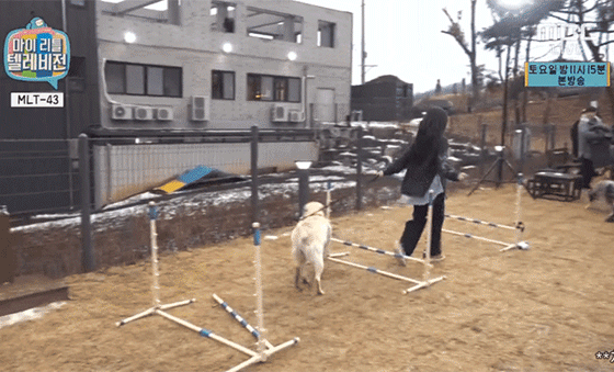 [마리텔] aoa 민아(항숙이) 훈련시키는 모찌.gif | 인스티즈