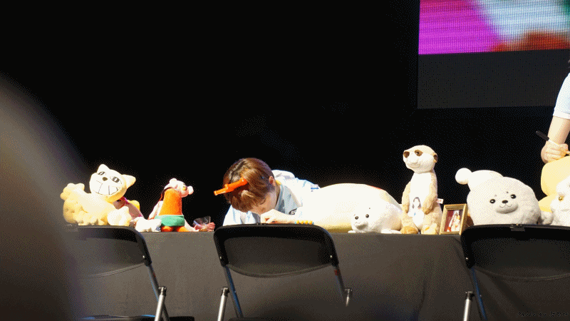 [트와이스] 대구 팬싸 정연 | 인스티즈