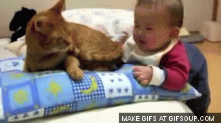 아기와 고양이 | 인스티즈