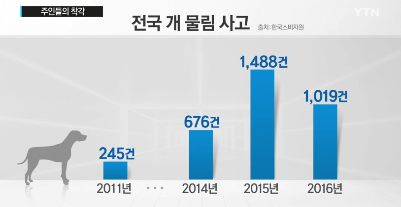 "우리 개는 안 물어요"..주인들의 착각 | 인스티즈