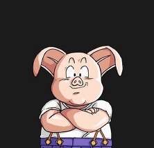 일본 드래곤볼 성우 나이 | 인스티즈