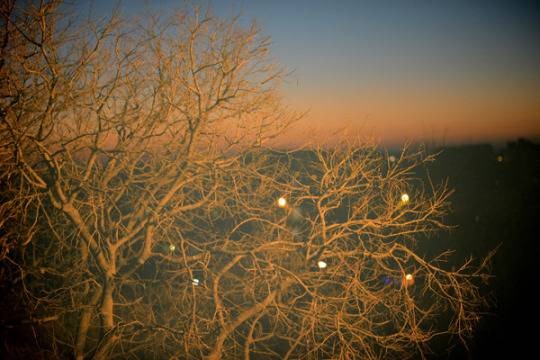  우리는 없을 거야 | 인스티즈