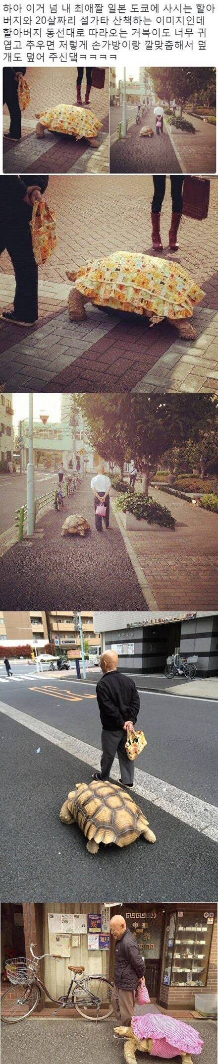 섬에 사는 무천도사 | 인스티즈