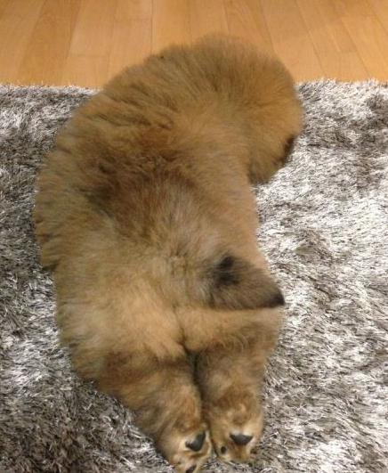 여자들이 반할 수 밖에 없다는 뒷모습 ㄷㄷㄷ.JPG | 인스티즈