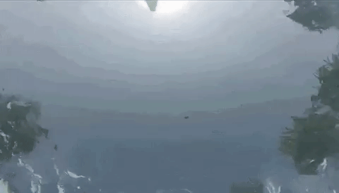 물에서 헤엄치는 잔잔한 | 인스티즈