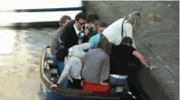 총체적 난국 모음.gif | 인스티즈