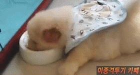 사진만 찍을려고하면 코을 구멍에 넣는 꼬맹이.jpg | 인스티즈