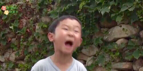 천방지축 어리둥절 빙글빙글 돌아가는 맹뿌의 하루 | 인스티즈