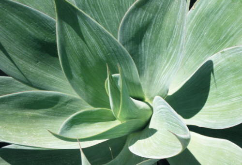  잠수 이별 | 인스티즈