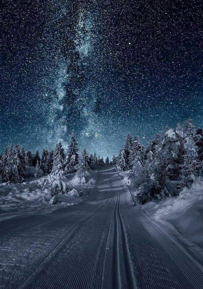 자연의 아름다움 ~ | 인스티즈