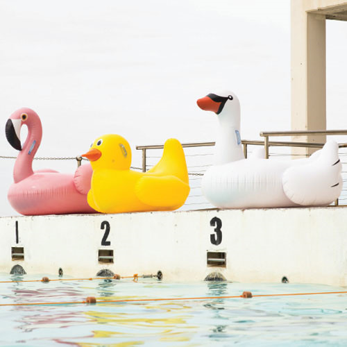 바다에서 핫한 튜브들.jpg | 인스티즈