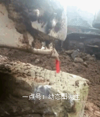 포크레인으로 라이터 불 켜기.gif | 인스티즈