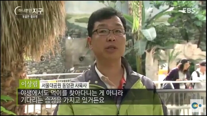 동물원 동물들이 월요병 생기는 이유 | 인스티즈