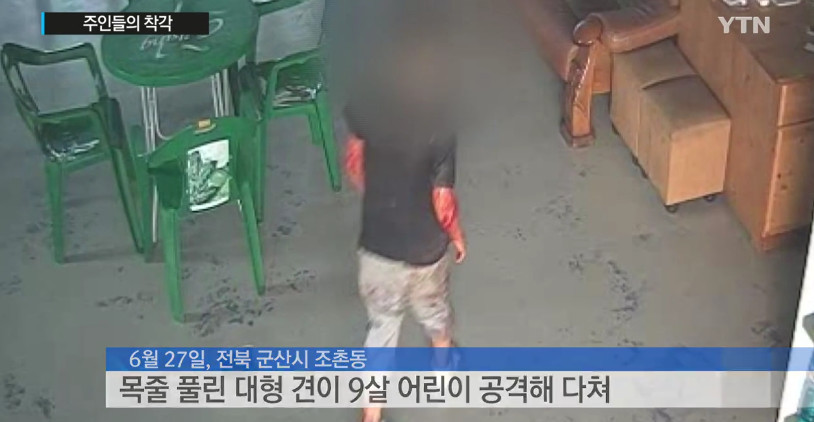 "우리 개는 안 물어요"..주인들의 착각 | 인스티즈