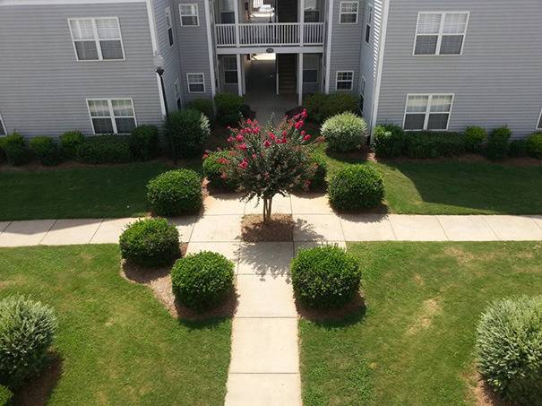 보면 편안해지고 마음이 안정되는 사진들.jpg | 인스티즈