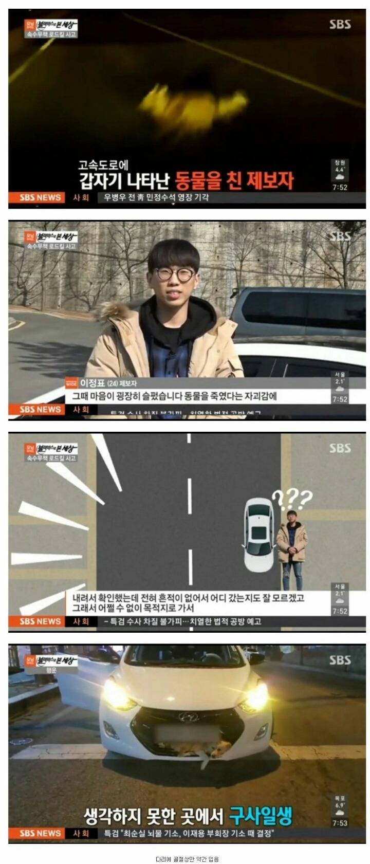 뜻밖의 로드킬.. | 인스티즈