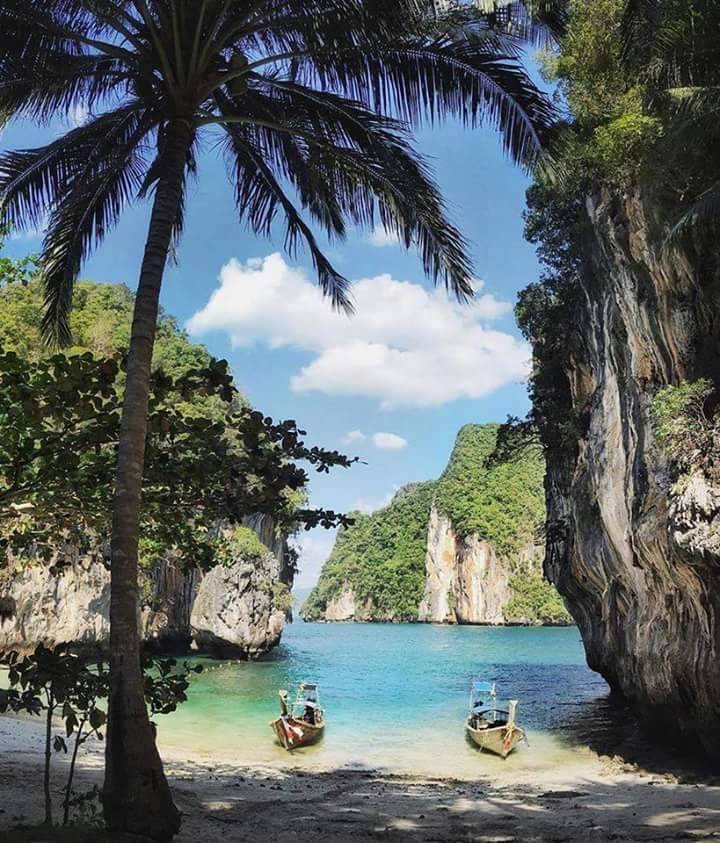 자연의 아름다움 ~ | 인스티즈