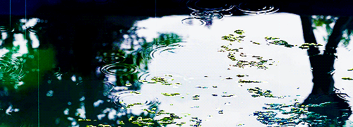 일본 애니메이션의 흔한 정성.jpg | 인스티즈