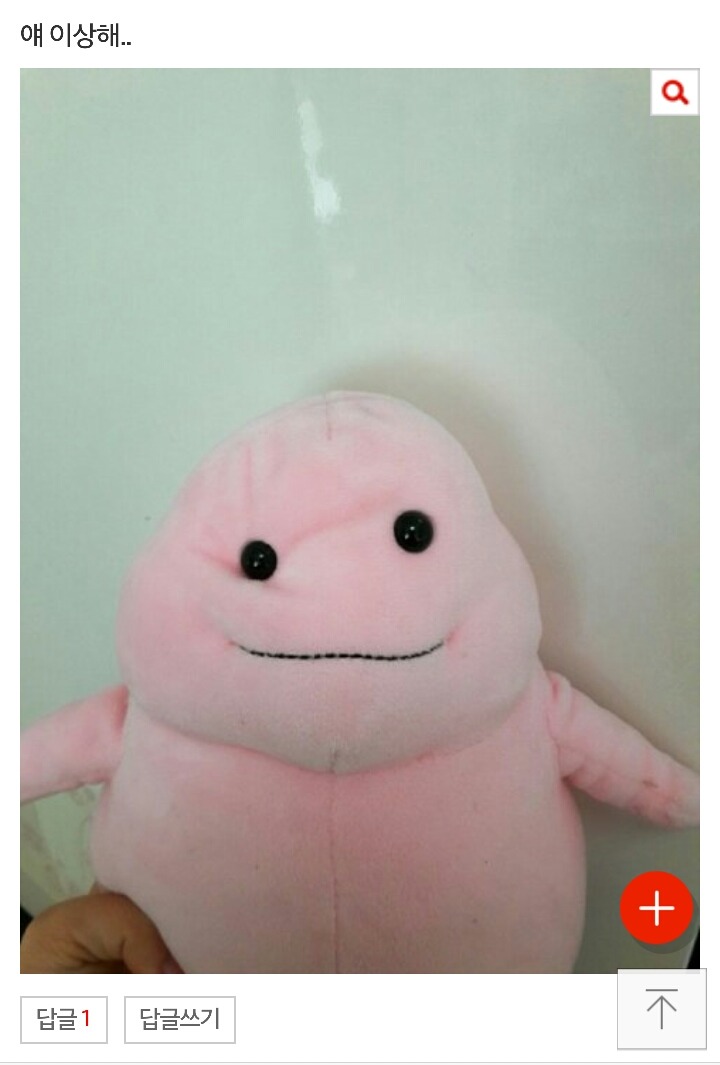 인형뽑기에서 뽑았는데 | 인스티즈