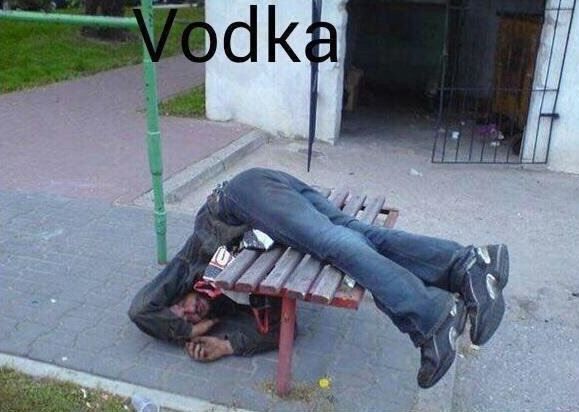 요가 vs 보드카.jpg | 인스티즈