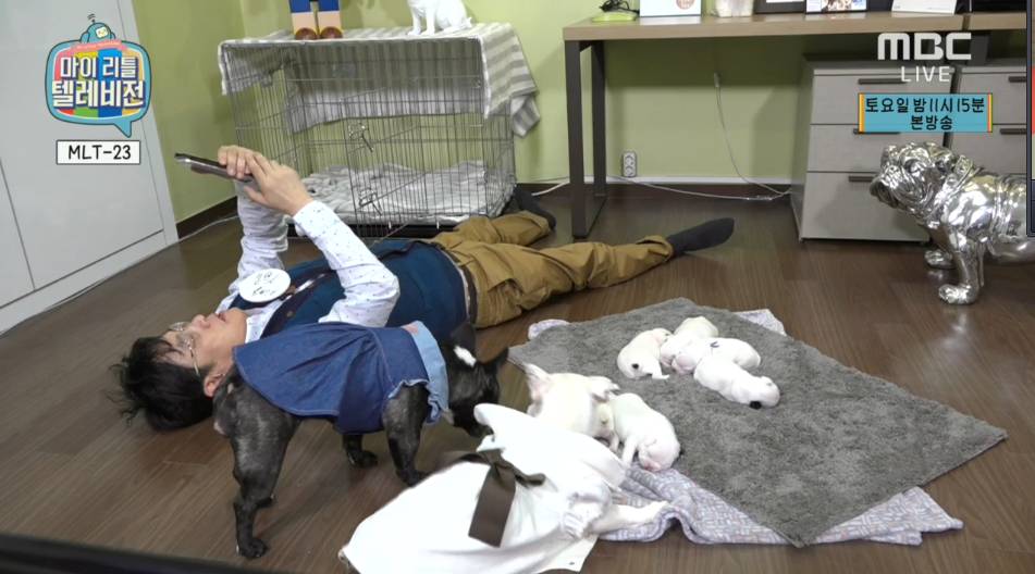 본격 누워서 하는 방송 ㅋㅋㅋㅋㅋ | 인스티즈