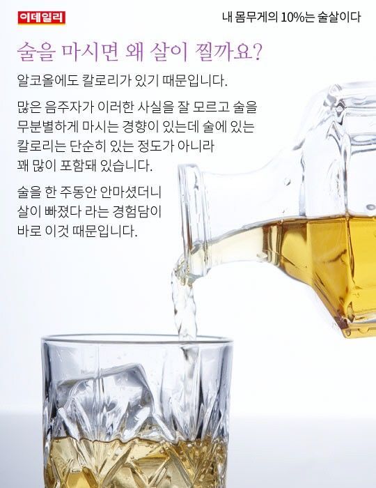 내 몸무게의 10%는 술살이다 | 인스티즈