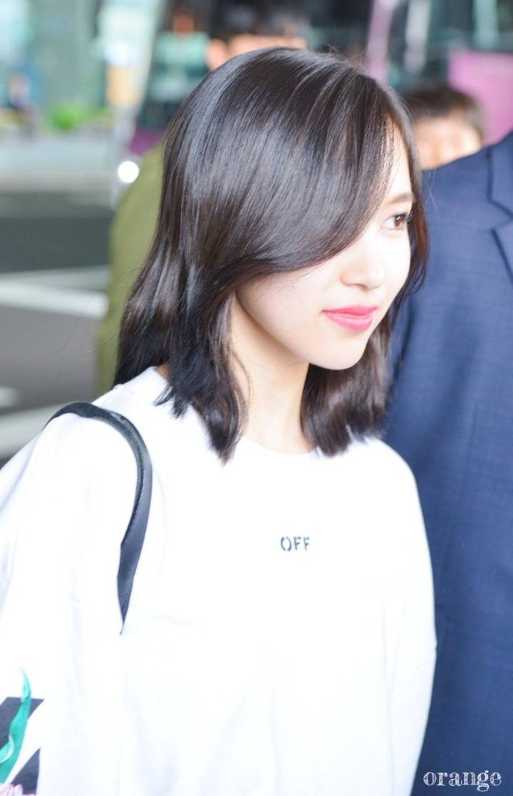 문재인 대통령 당선 기념 미나리 | 인스티즈