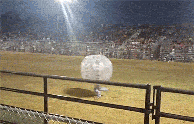 소가 들이받는 위력 | 인스티즈