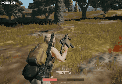 [배틀그라운드] 흔한 국산개발겜의 대회우승 트로피 | 인스티즈