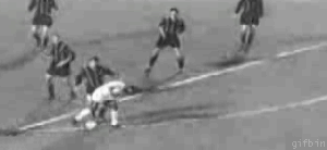 종목별 레전드 짤 | 인스티즈