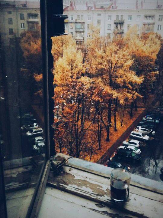 가장 좋아하는 계절은? | 인스티즈