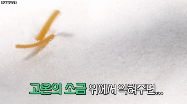 [구내식당] 소금에 구워지는 새우깡 반죽 움짤.gif - 인스티즈(instiz) 이슈 카테고리