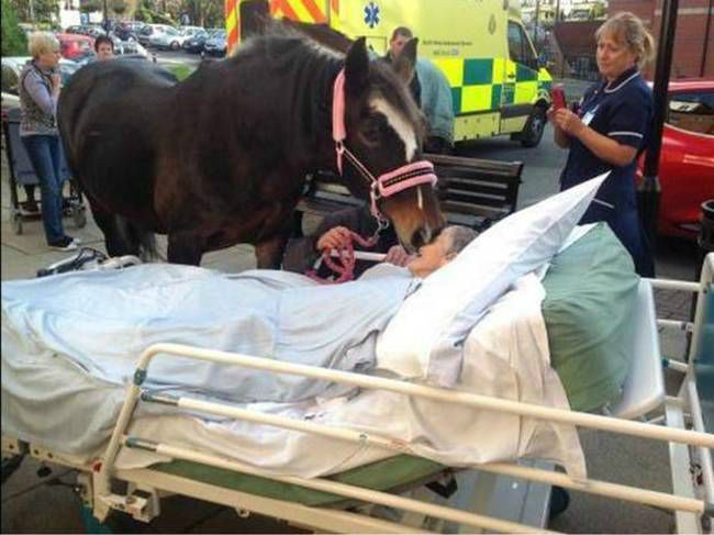 마지막 소원 | 인스티즈