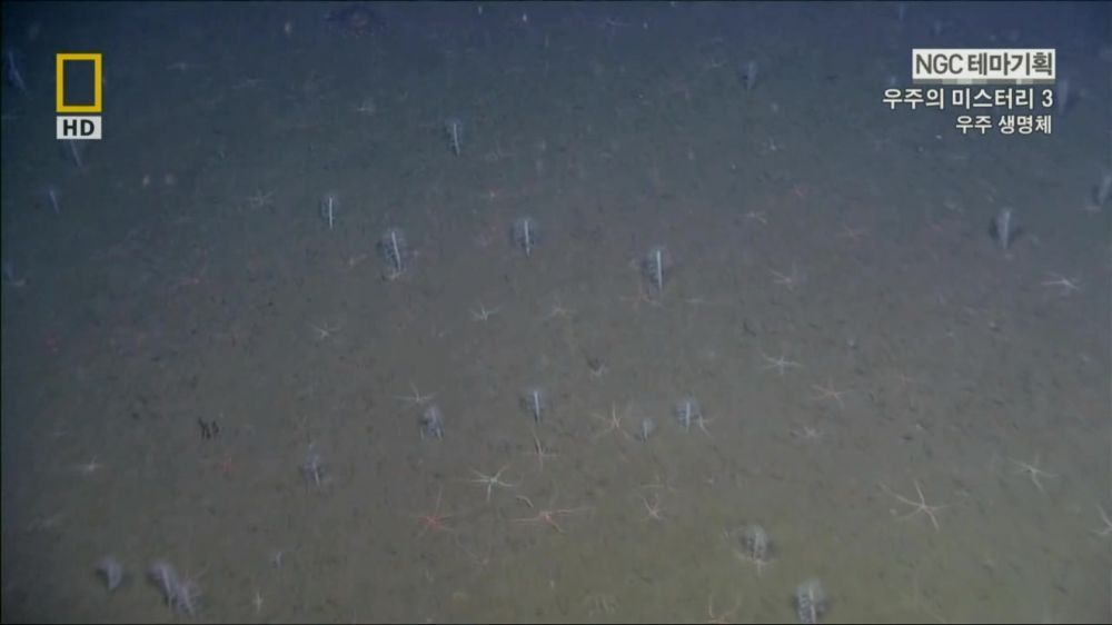 과학자들의 외계 생명체를 찾기위한 노력들.jpg | 인스티즈