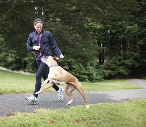 강아지 안키우는 사람들의 흔한 오해.jpg | 인스티즈