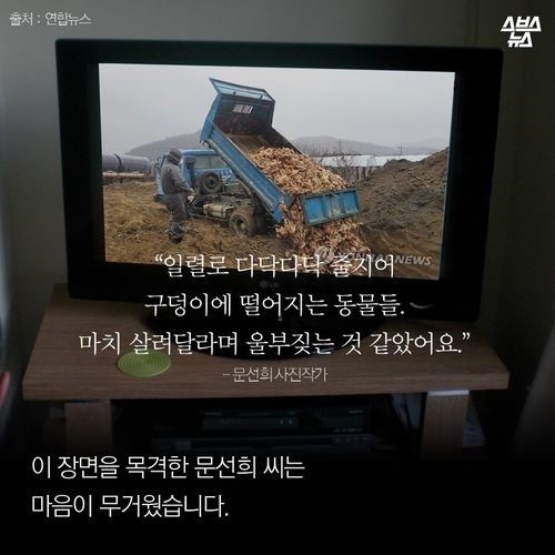 우리가 묻어버린 이야기 | 인스티즈