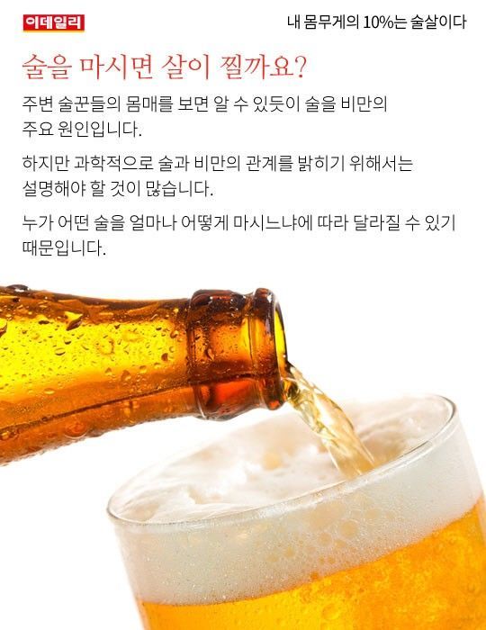 내 몸무게의 10%는 술살이다 | 인스티즈