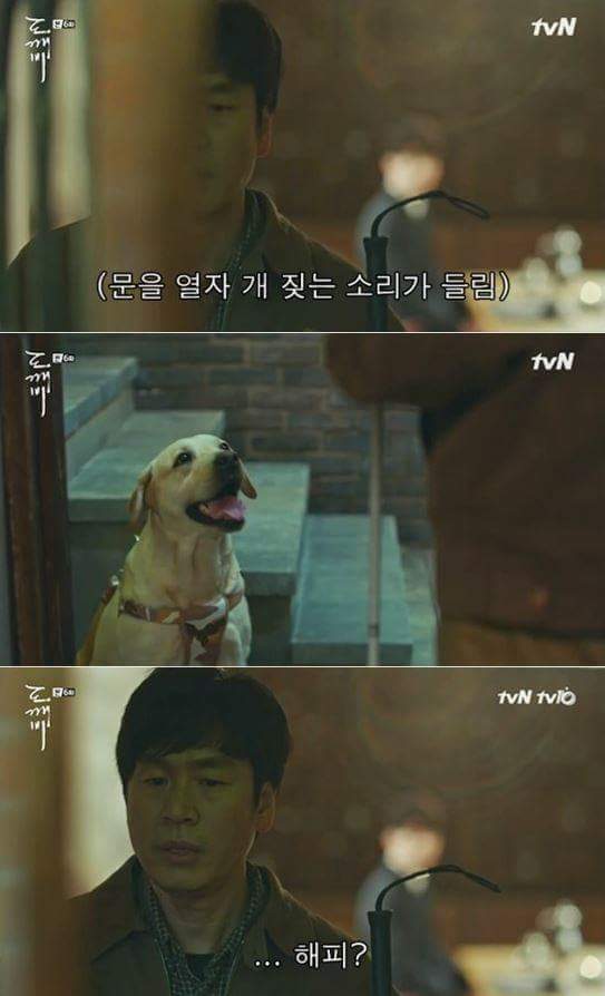 사람이 죽으면 먼저 가있던 반려동물이 마중나온다는 얘기가 있다.jpg | 인스티즈