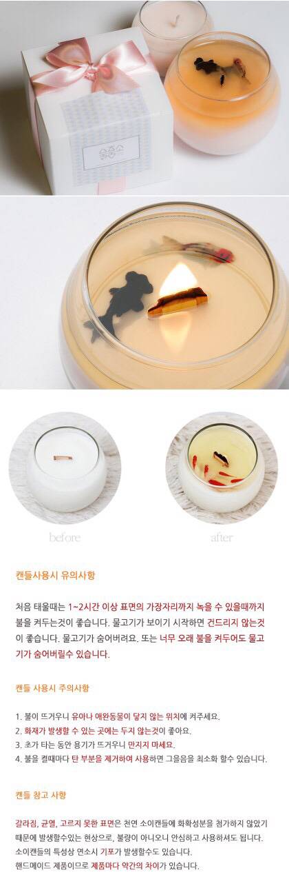 물고기를 품은 소이캔들 | 인스티즈