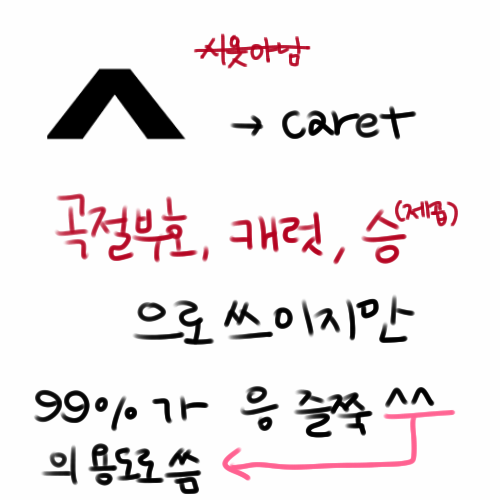우리나라 99% 사람들이 원 의미와 상관없이 쓰고있는 기호.jpg | 인스티즈