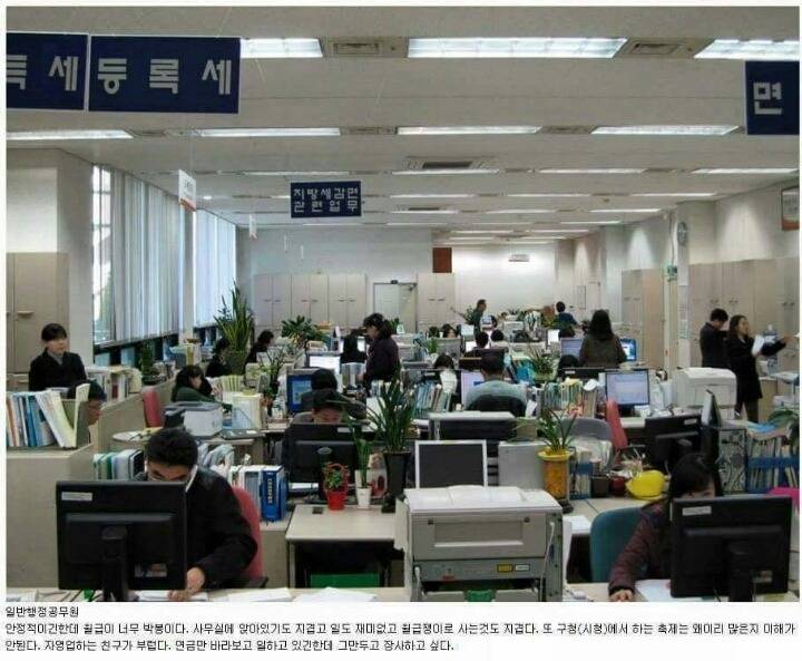 각 직업군별 종사자들이 하는 말 | 인스티즈