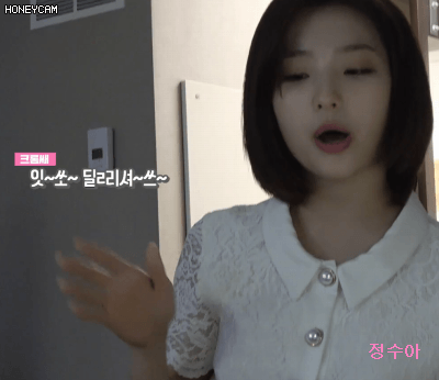 프로미스나인 이새롬 V앱 뉴욕KCON 비하인드.GIF | 인스티즈