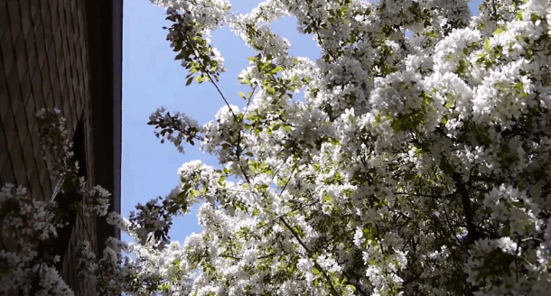 봄이 오면 볼 수 있는 모습 | 인스티즈