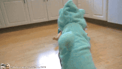 냥이와아기(심장조심).gif | 인스티즈