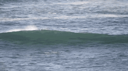 ???:육지동물새끼 미개한거보소ㅋㅋㅋㅋ | 인스티즈